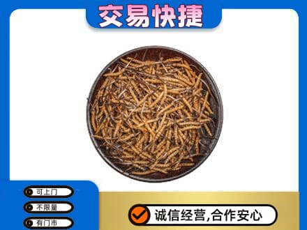 宜宾市高价回收散虫草