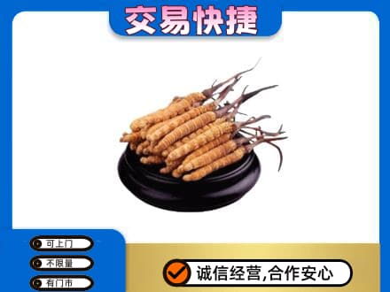 宜宾市回收冬虫夏草多少钱每克
